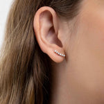 Brinco Moissanite Prata 925 com 0,2ct de Moissanite Brilhante - Curva de Luz, 6 Pedras, Ródio, Cor D VVS1 Certificada